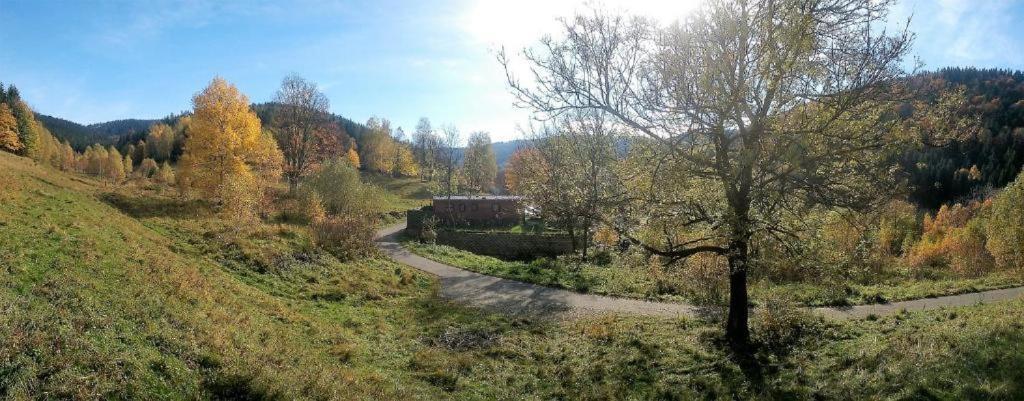 Krolikowka Stronie Śląskie Szoba fotó